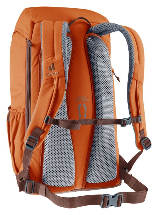 Deuter WALKER 24 Laptoprucksack chesnut-umbra