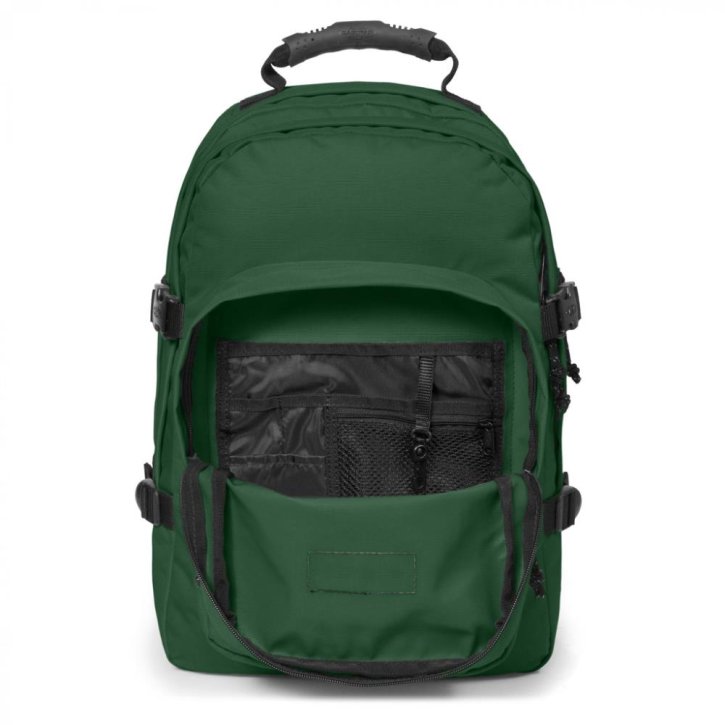EASTPAK PROVIDER Laptoprucksack bristle green