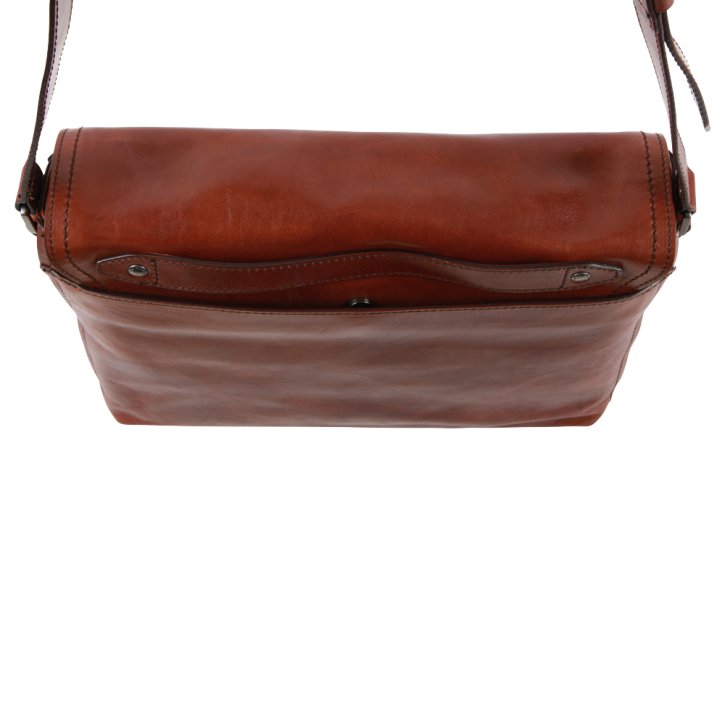 the bridge Messenger braun