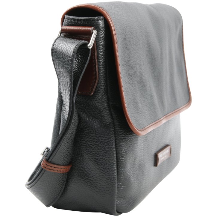 the bridge Messenger Rindleder