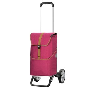 Andersen Alu Star Shopper Auke rubin